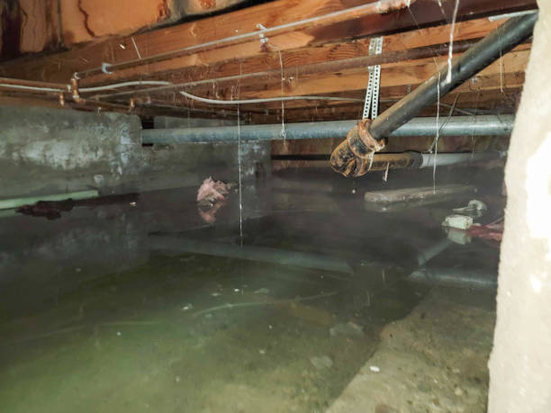 Best Water damage restoration near me  in De Pere, WI