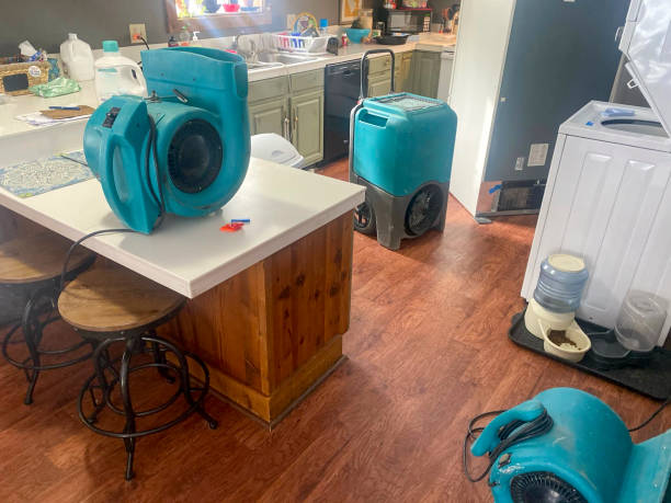 Best Sewage cleanup and water damage restoration  in De Pere, WI