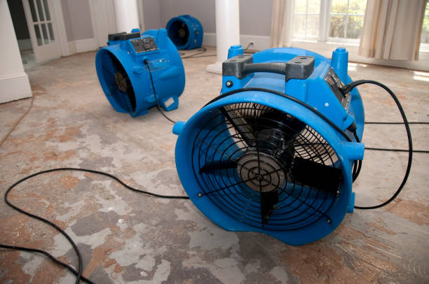  De Pere, WI Water damage restoration Pros