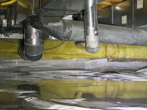 Best Professional water damage repair  in De Pere, WI